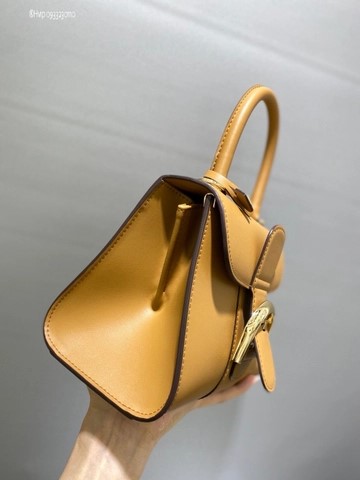 Delvaux Brillant MINI 박스 카프 베이지