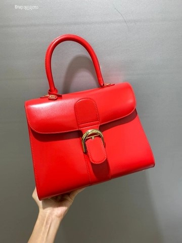 Delvaux Brillant MM 박스 카프 레드