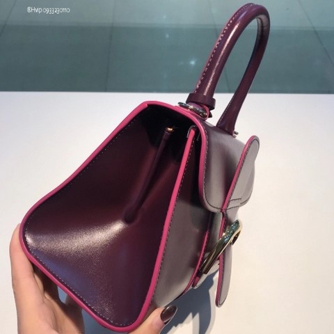 Delvaux Brillant MINI 박스 카프 버건디